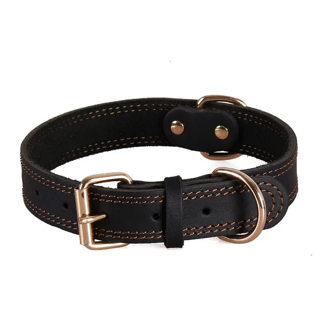 Vintage Leather Dog Collar