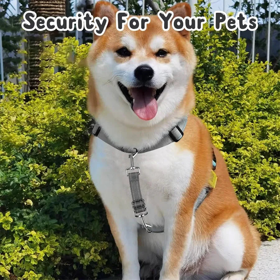 2 Pack Dog Safety Collar Clips