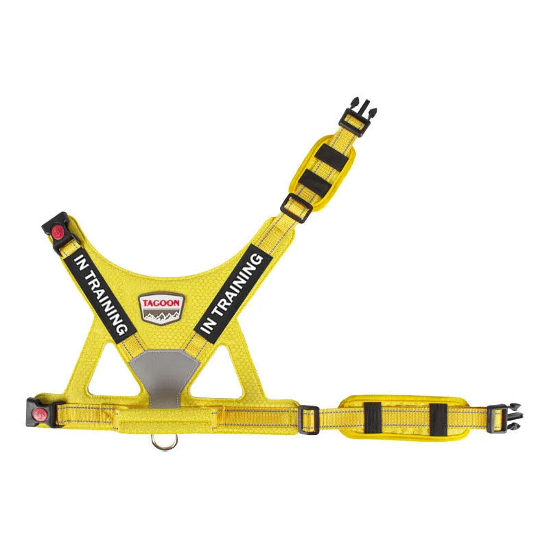 Reflective No-Pull Personalized Dog Harness