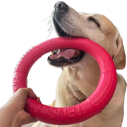 Dog Flying Discs Ring