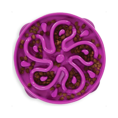 Large Slow Feeder Dog Bowl