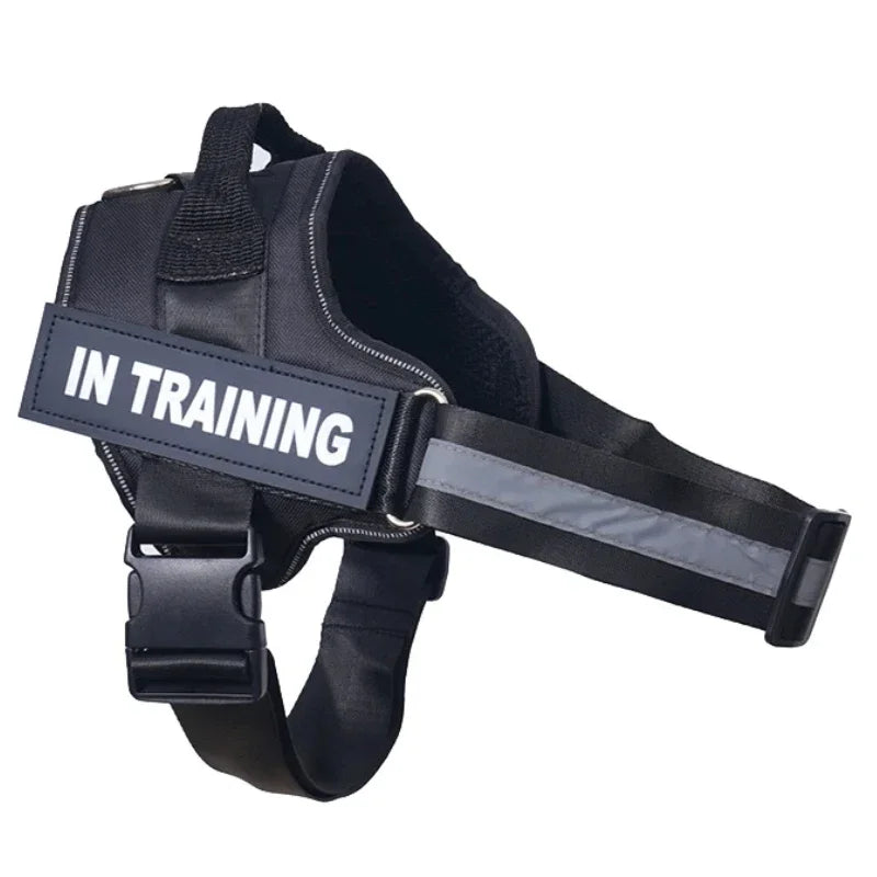 Personalized Dog Reflective Harness