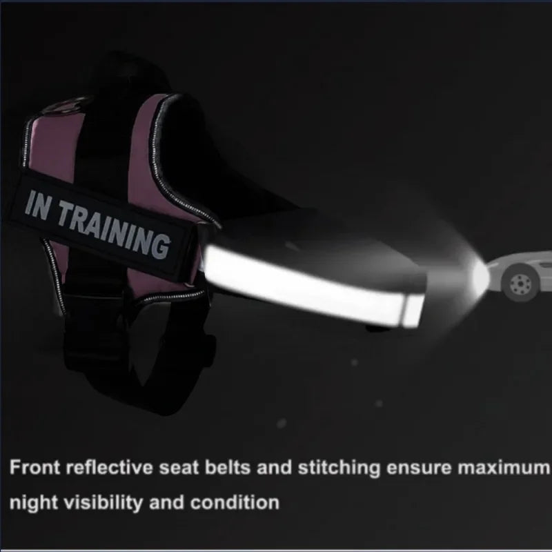 Personalized Dog Reflective Harness