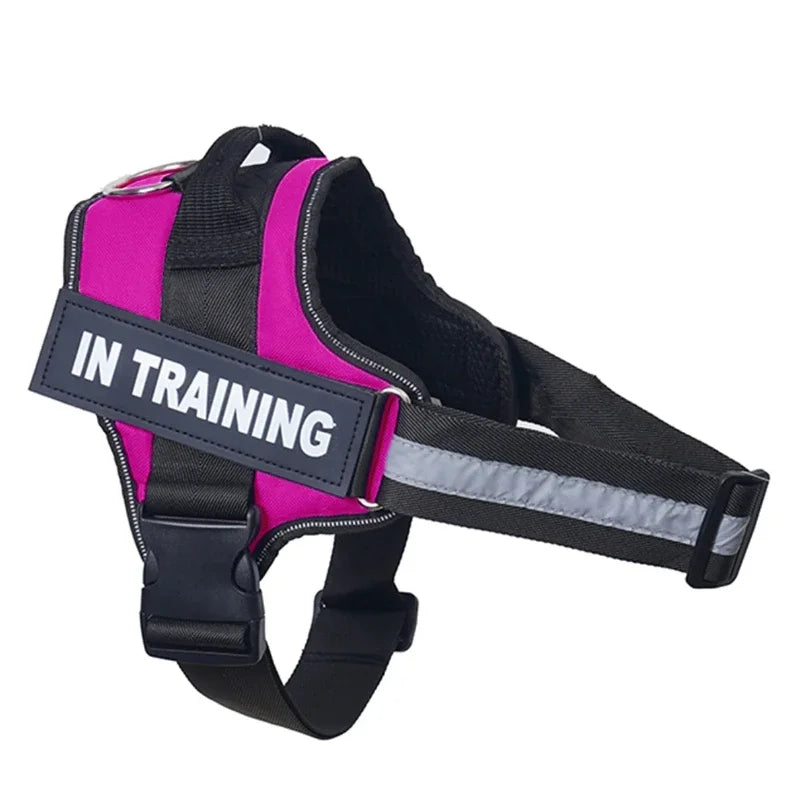 Personalized Dog Reflective Harness