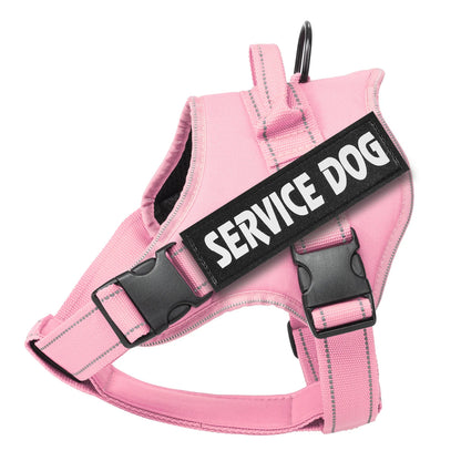 Custom Name Adjustable Dog Harness