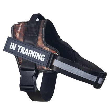 Personalized Dog Reflective Harness
