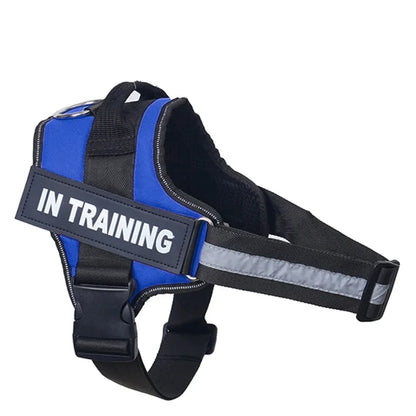 Personalized Dog Reflective Harness