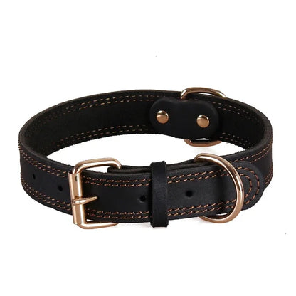 Vintage Leather Dog Collar