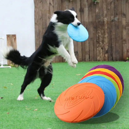 Dog Flying Disc