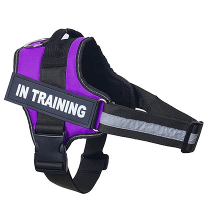 Personalized Dog Reflective Harness