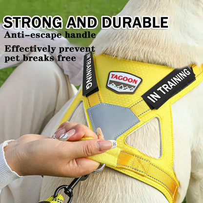 Reflective No-Pull Personalized Dog Harness