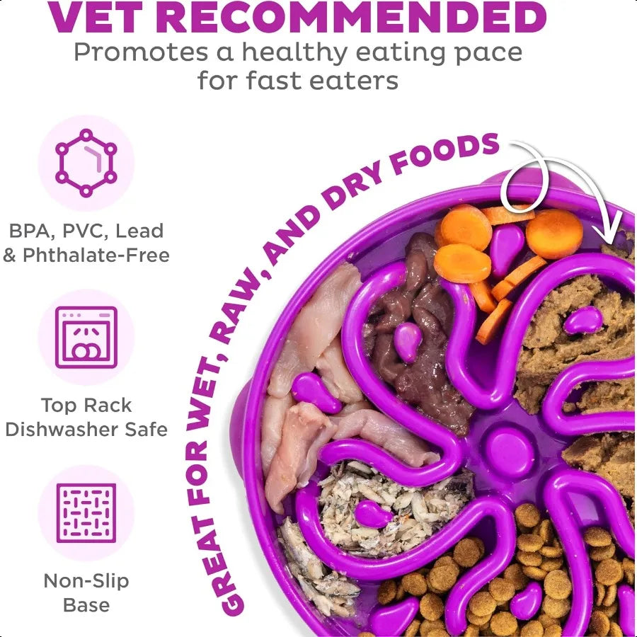 Large Slow Feeder Dog Bowl