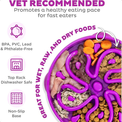 Large Slow Feeder Dog Bowl