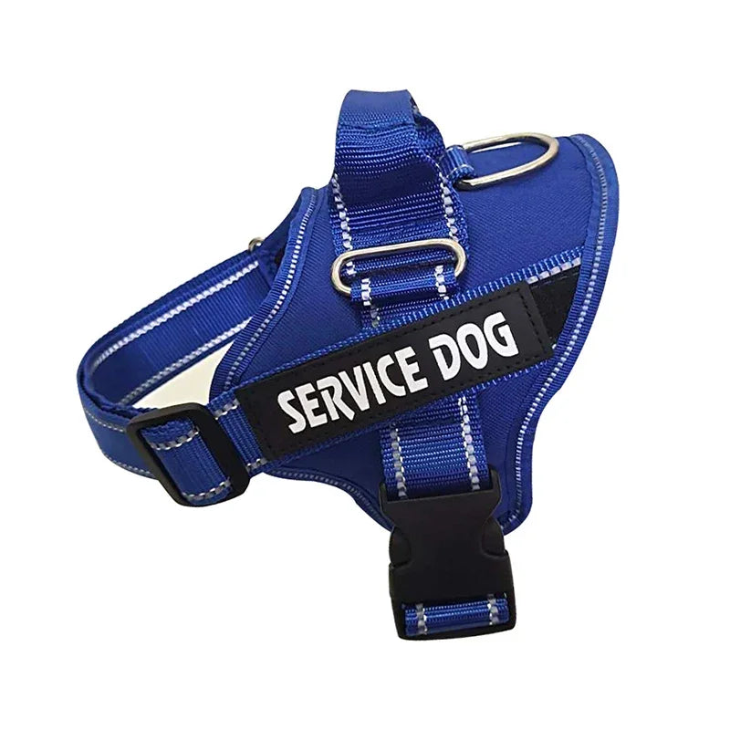 Personalized Reflective No-Pull Dog Harness