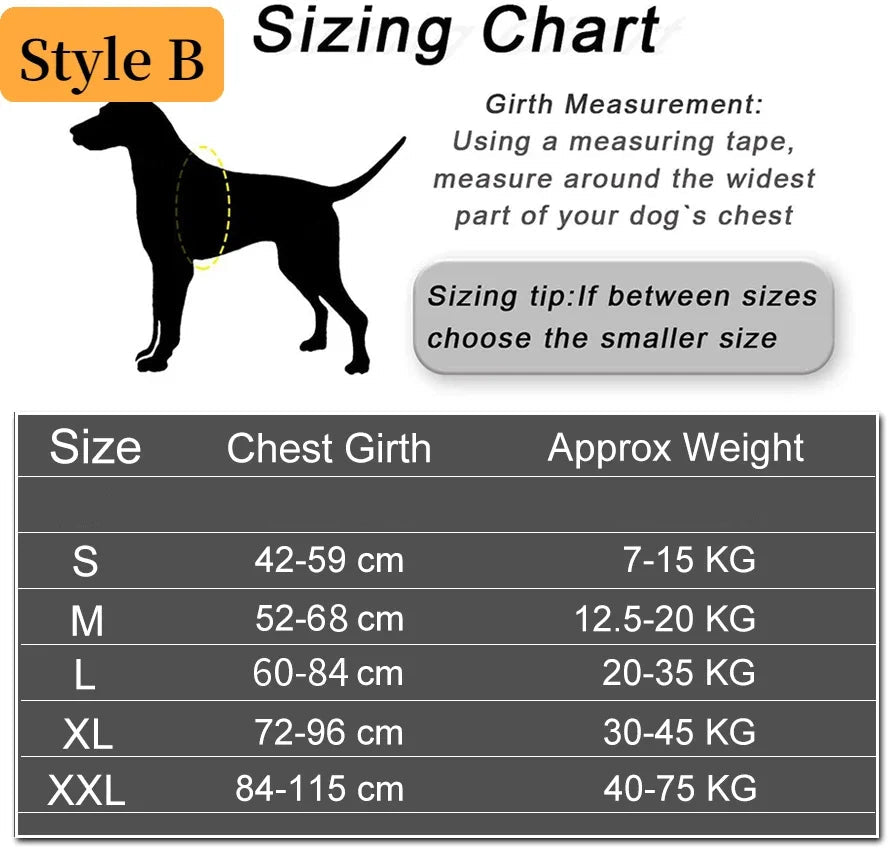 Personalized Reflective No-Pull Dog Harness