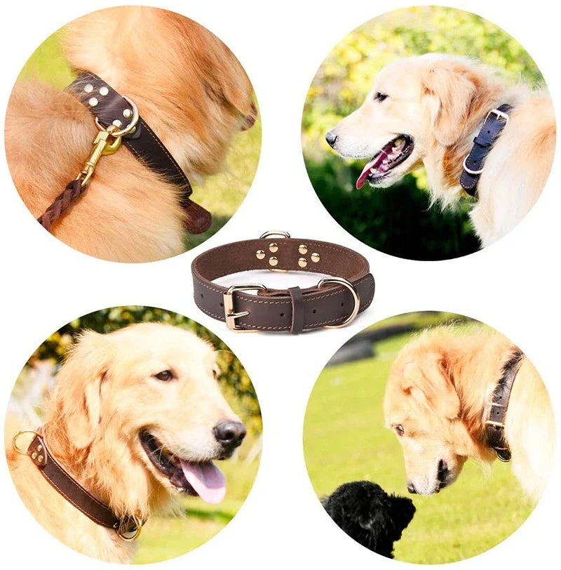 Vintage Leather Dog Collar