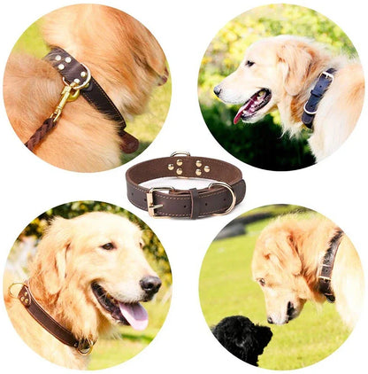 Vintage Leather Dog Collar