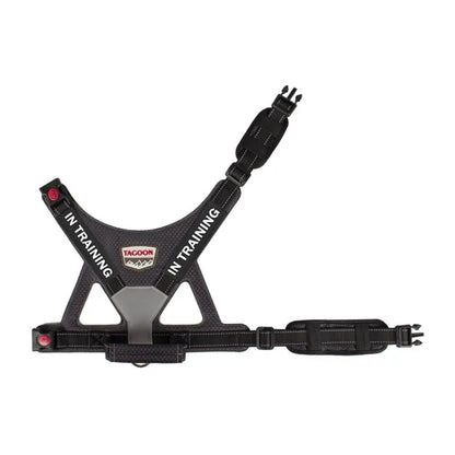 Reflective No-Pull Personalized Dog Harness