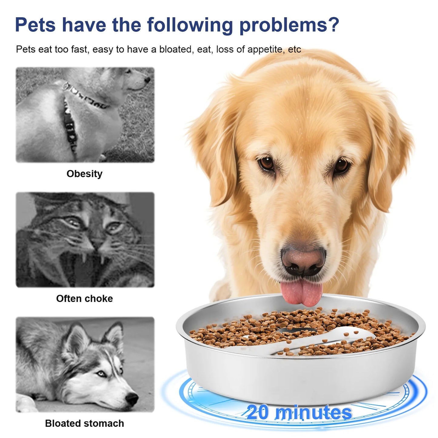 Stainless Steel Slow Feeder Bowl