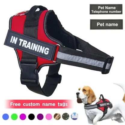 Personalized Dog Reflective Harness