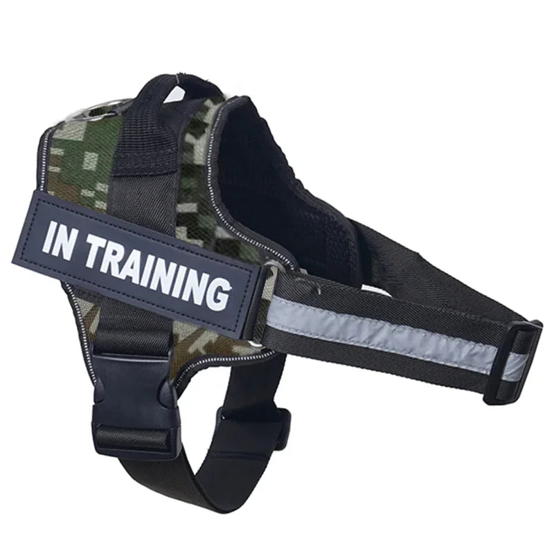 Personalized Dog Reflective Harness