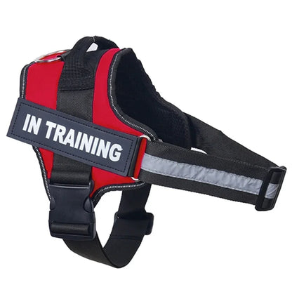Personalized Dog Reflective Harness