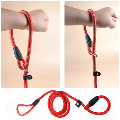 Nylon Slip Lead Dog Leash