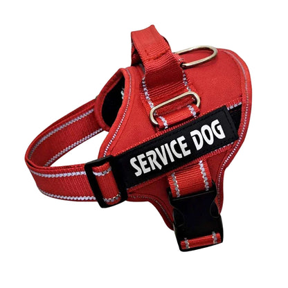Personalized Reflective No-Pull Dog Harness