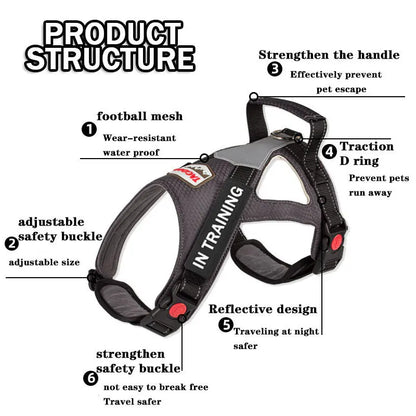 Reflective No-Pull Personalized Dog Harness