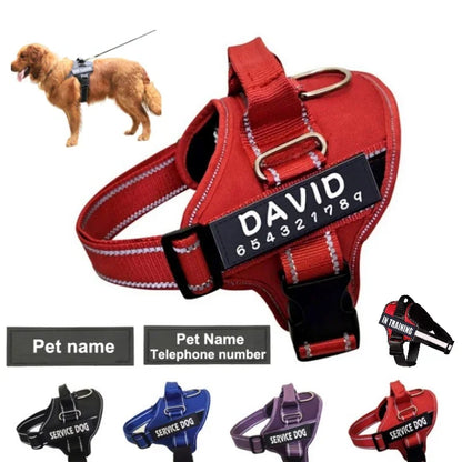 Personalized Reflective No-Pull Dog Harness