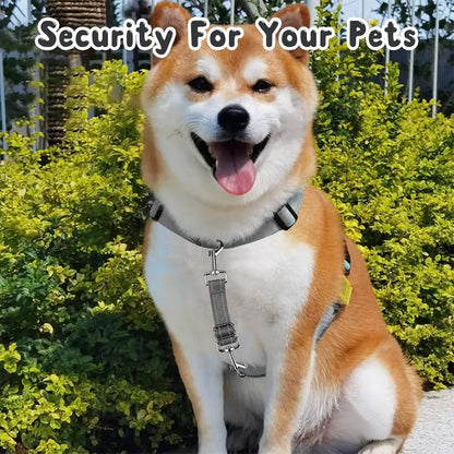 2 Pack Dog Safety Collar Clips