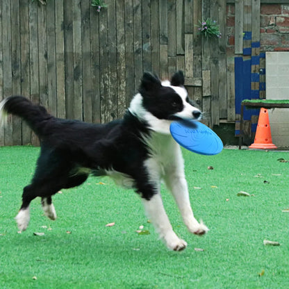 Dog Flying Disc