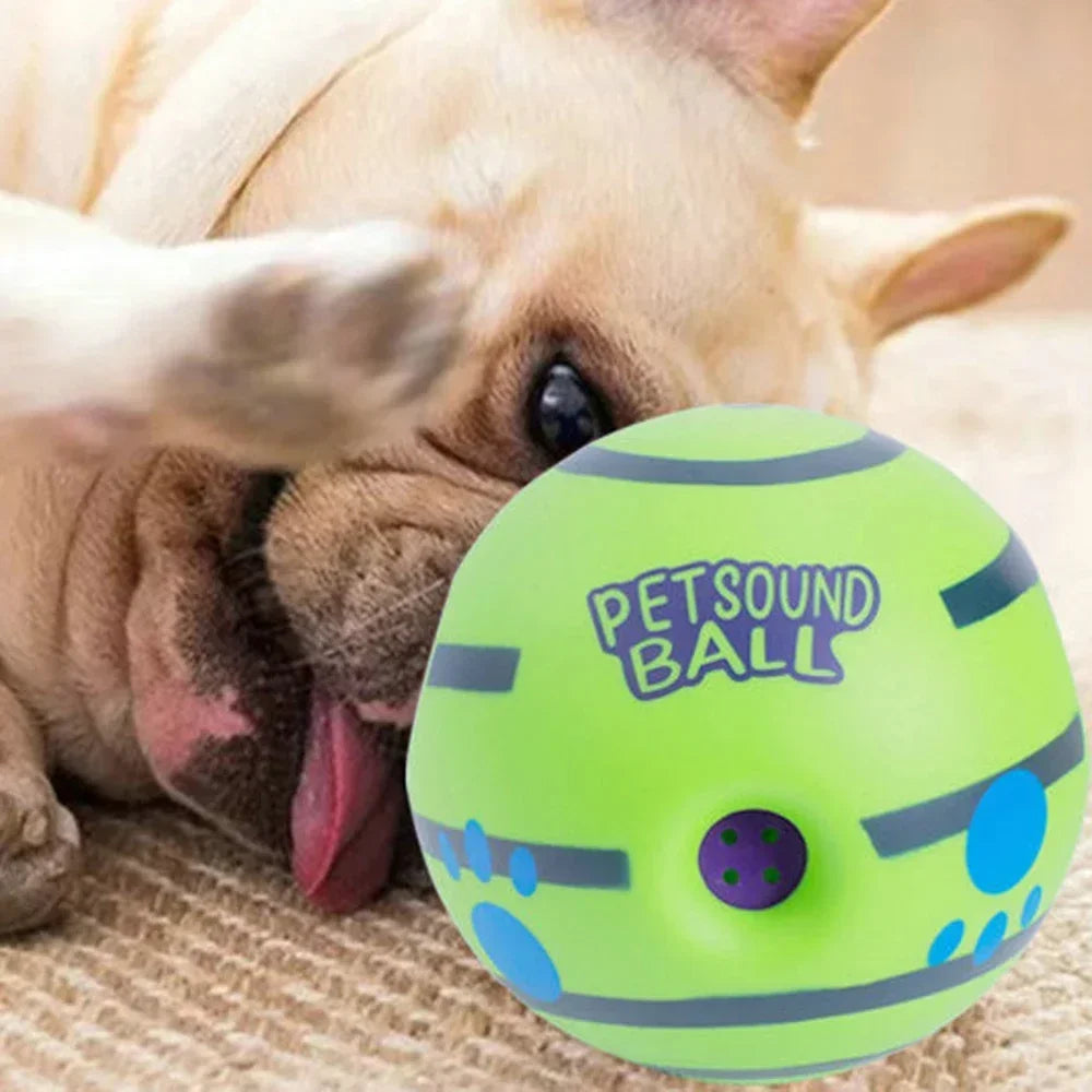 Giggle Training Ball Toy