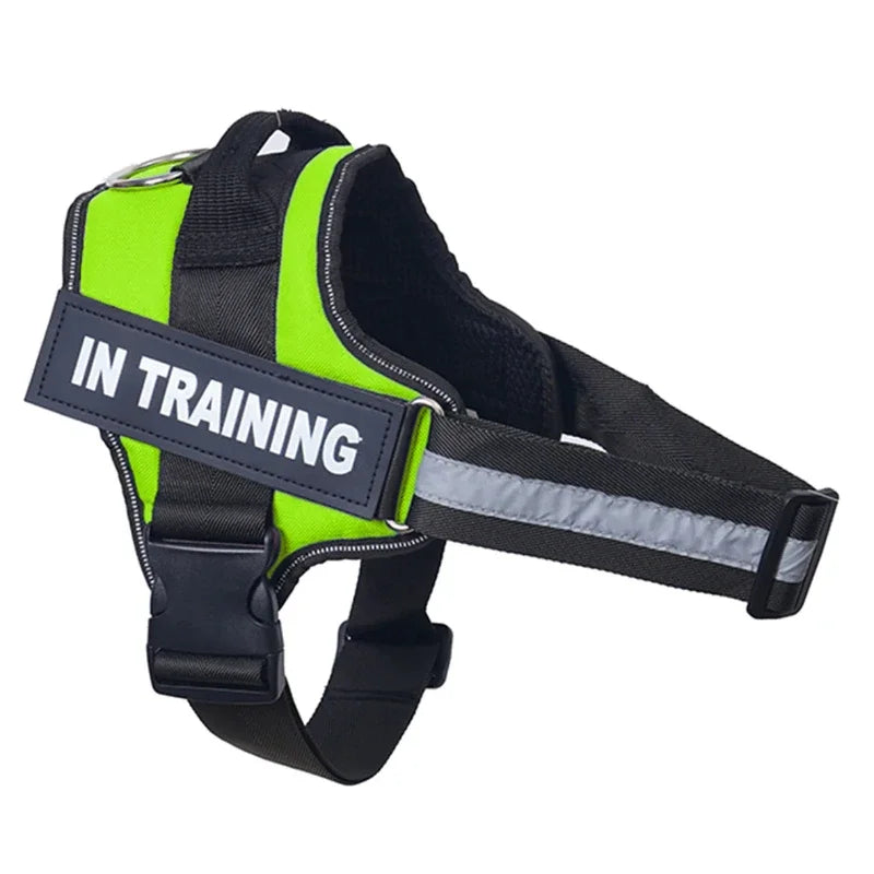 Personalized Dog Reflective Harness