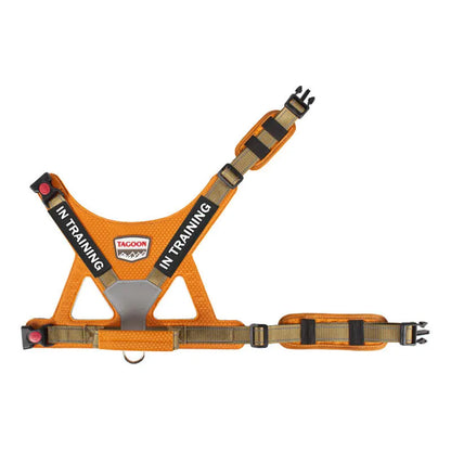 Reflective No-Pull Personalized Dog Harness