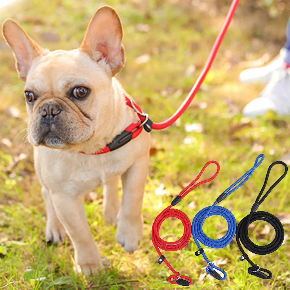 Nylon Slip Lead Dog Leash