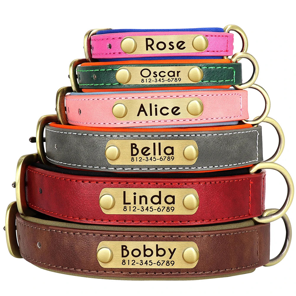 Customized Dog Collar Leash Set