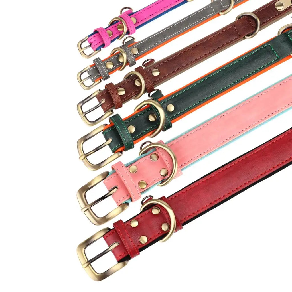 Customized Dog Collar Leash Set