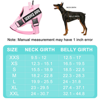 Custom Name Adjustable Dog Harness