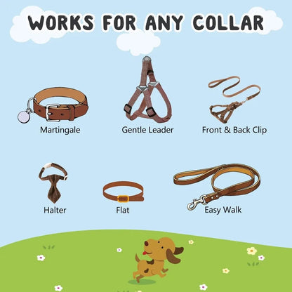 2 Pack Dog Safety Collar Clips