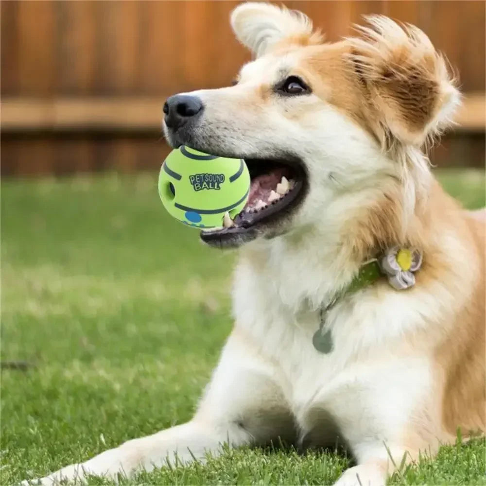 Giggle Training Ball Toy