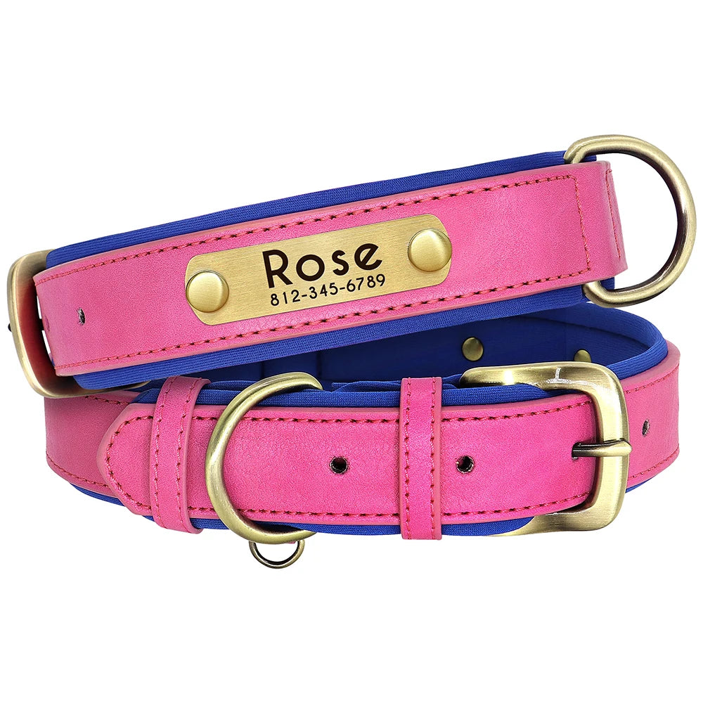 Customized Dog Collar Leash Set