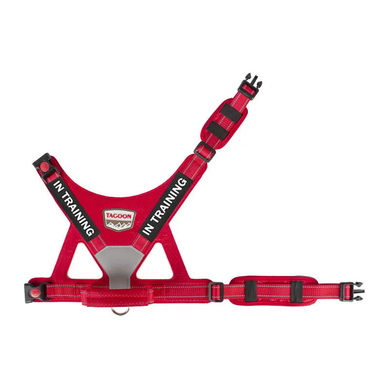 Reflective No-Pull Personalized Dog Harness