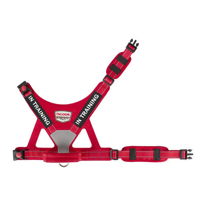 Reflective No-Pull Personalized Dog Harness