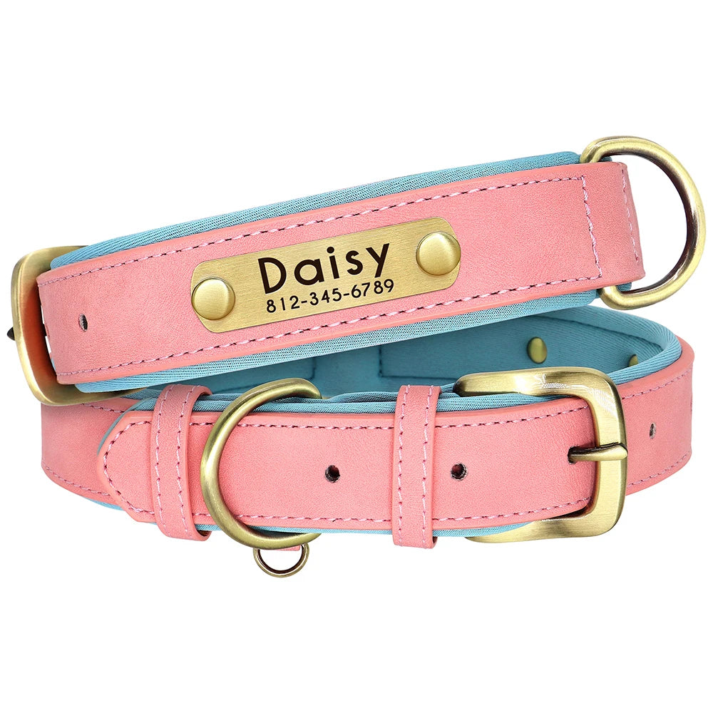 Customized Dog Collar Leash Set