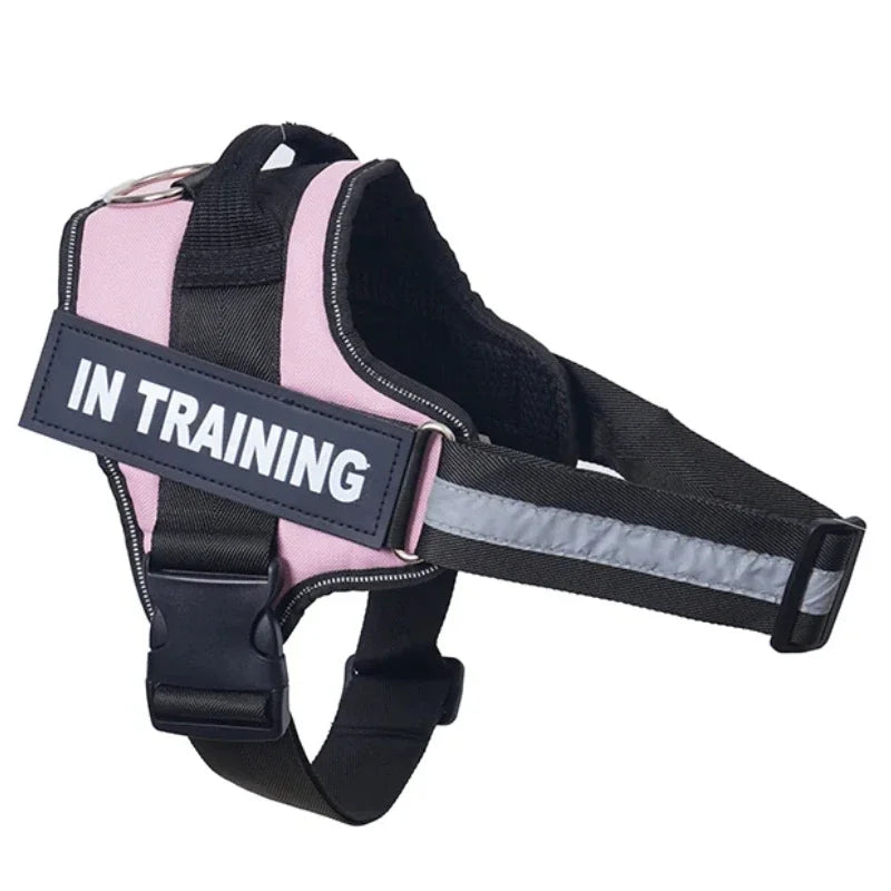 Personalized Dog Reflective Harness