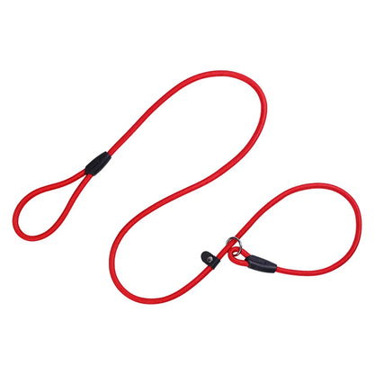 Nylon Slip Lead Dog Leash