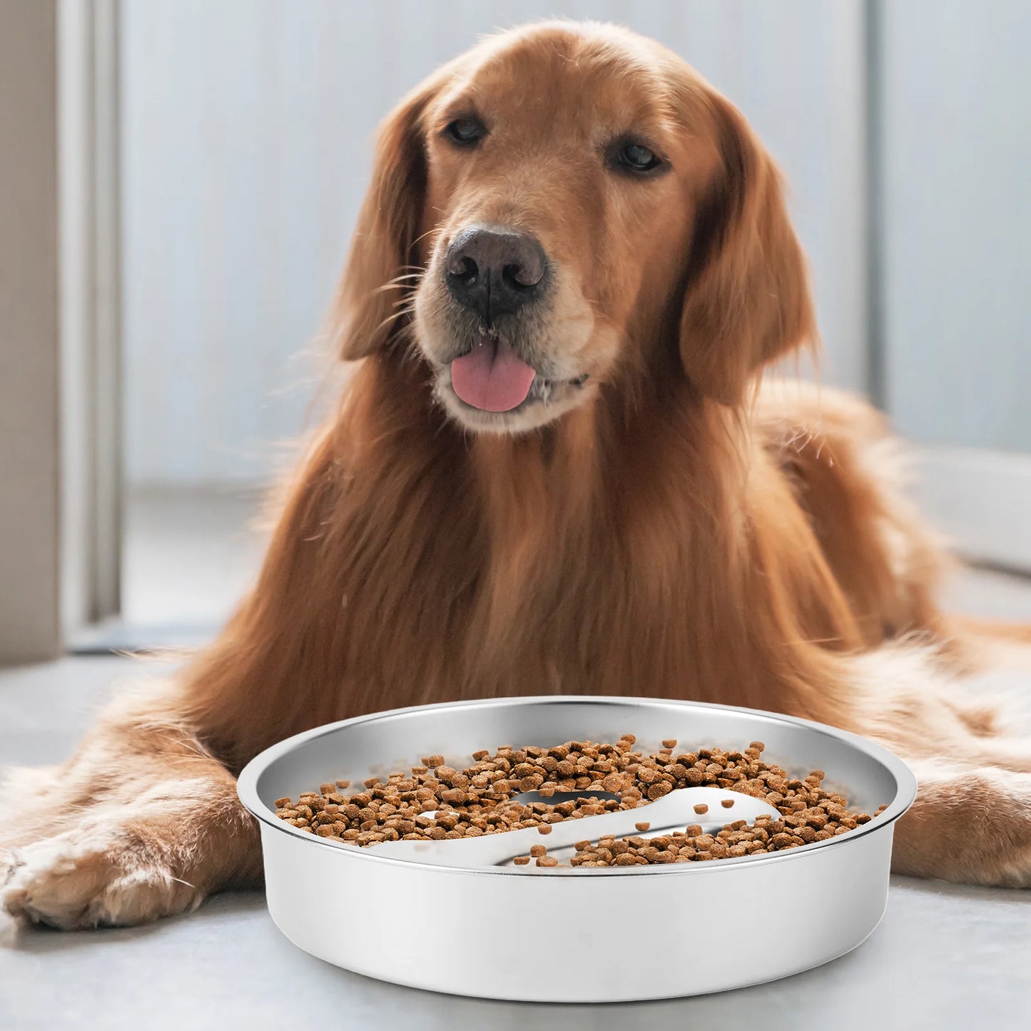 Stainless Steel Slow Feeder Bowl