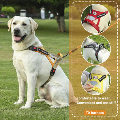 Reflective No-Pull Personalized Dog Harness