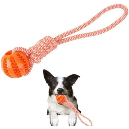 Dog Training Rope Ball